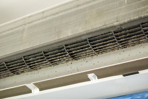 Best Air Duct Cleaning Near Me  in Curtisville, PA